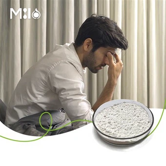 Gamma Oryzanol-poeder