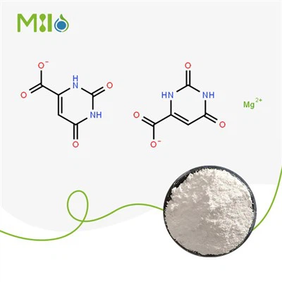 Magnesium Orota-poeder